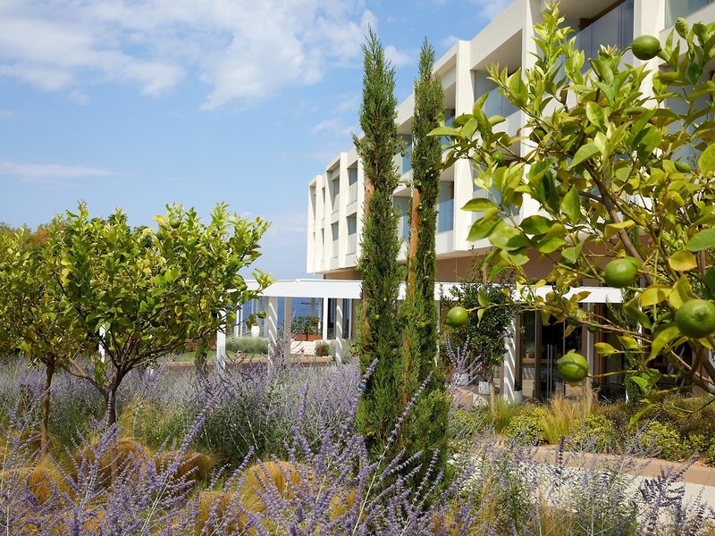 Vincci EverEden Beach Resort Hotel & Spa 2