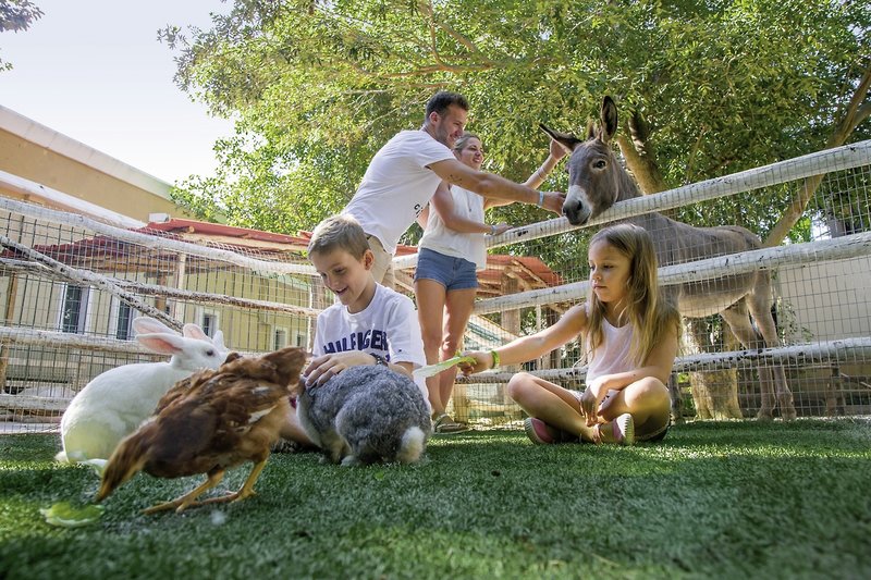 Sandos Caracol Eco Resort 7