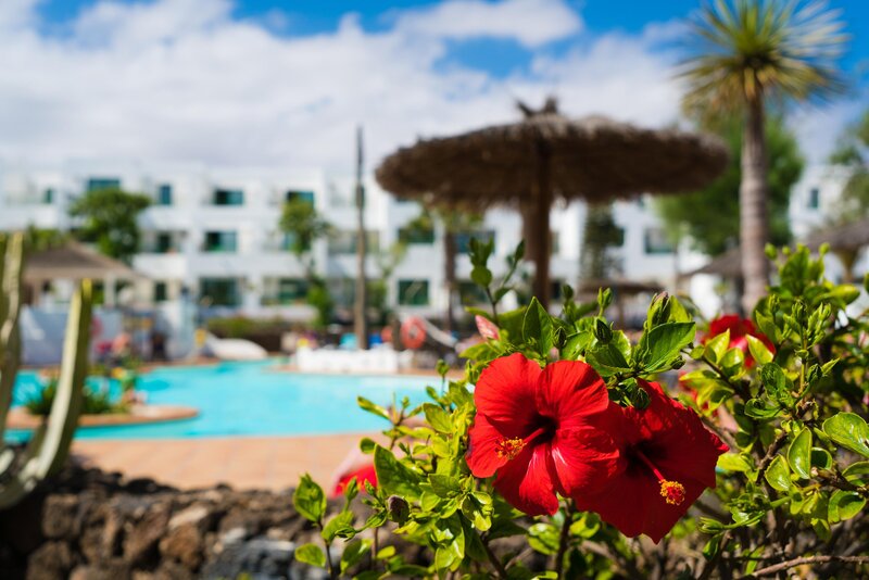 Galeón Playa by SeaSense Hotels 26