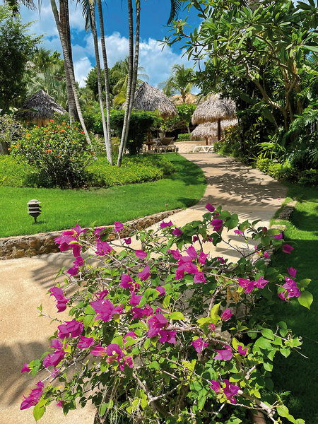 El Jardin Del Eden 25