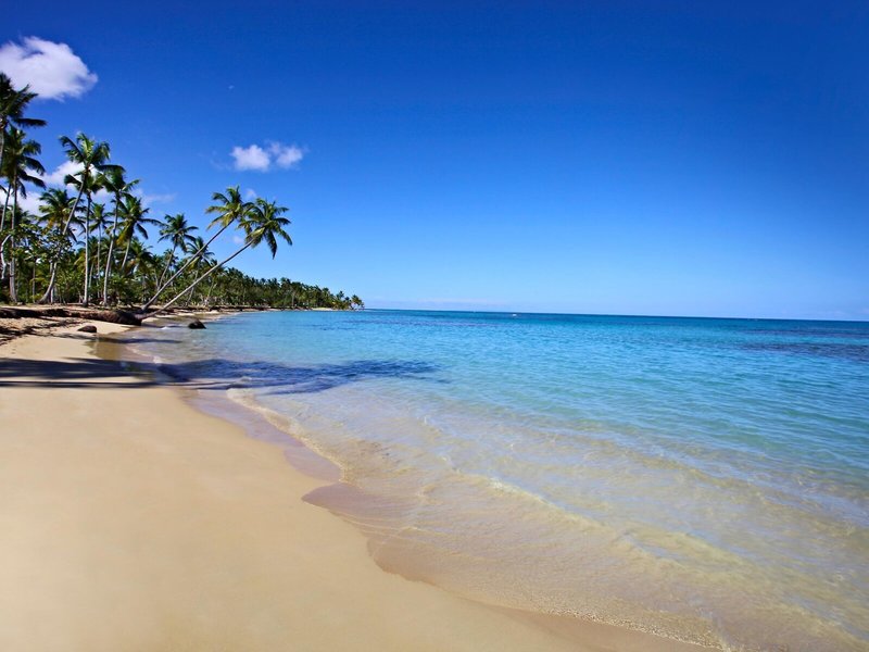 Grand Bahia Principe El Portillo 5