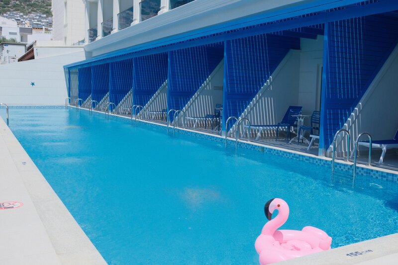 Maxeria Blue Didyma 103