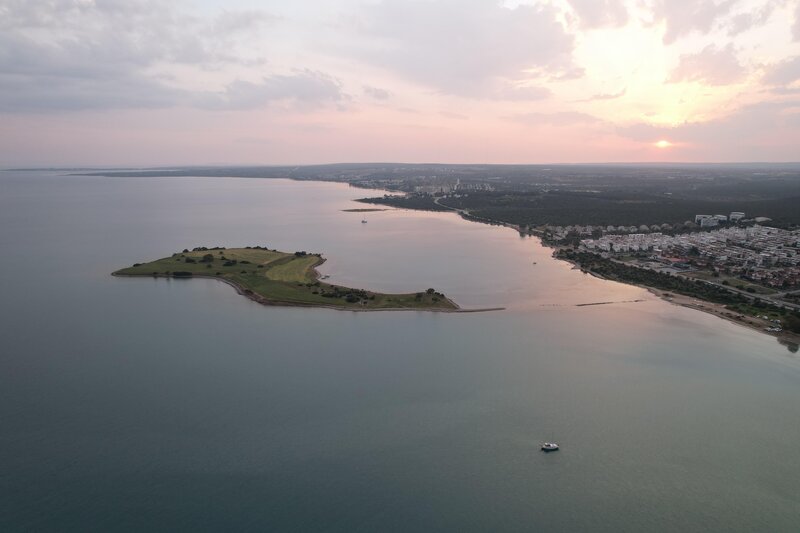 Maxeria Blue Didyma 145