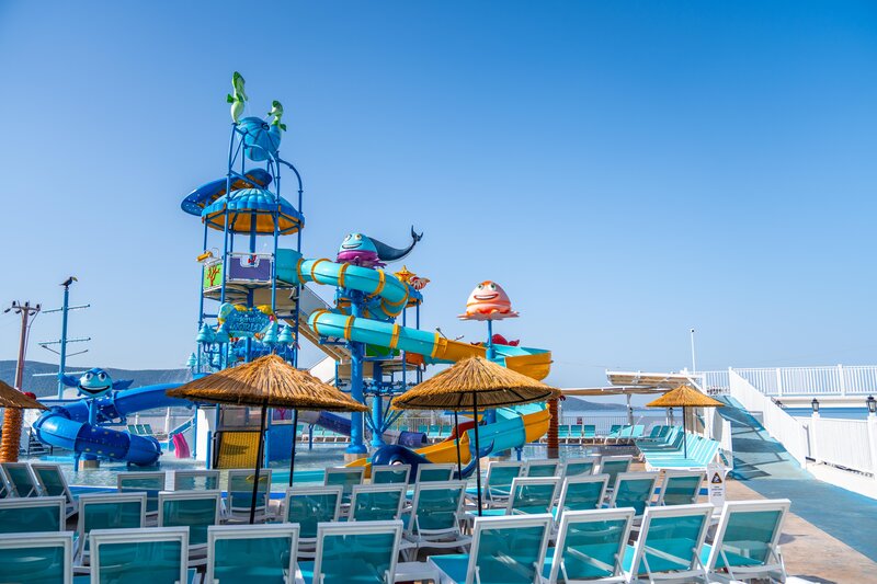 Maxeria Blue Didyma 159