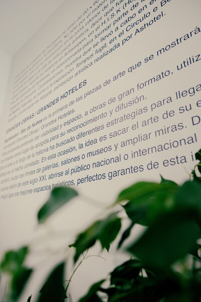 Occidental Las Palmas 48