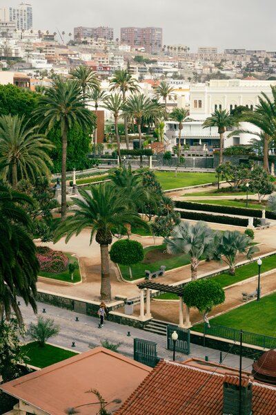 Occidental Las Palmas 29