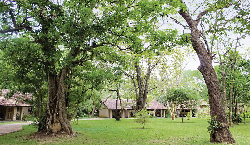 Sigiriya Village 6