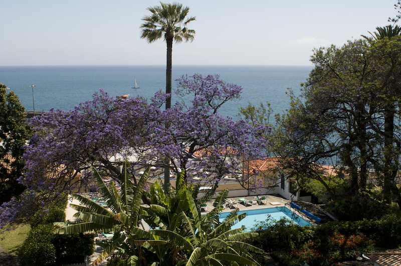 Quinta da Penha de Franca & Mar 6