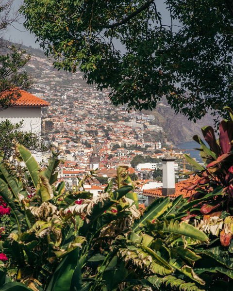 Quintinha de Sao Joao Funchal 6