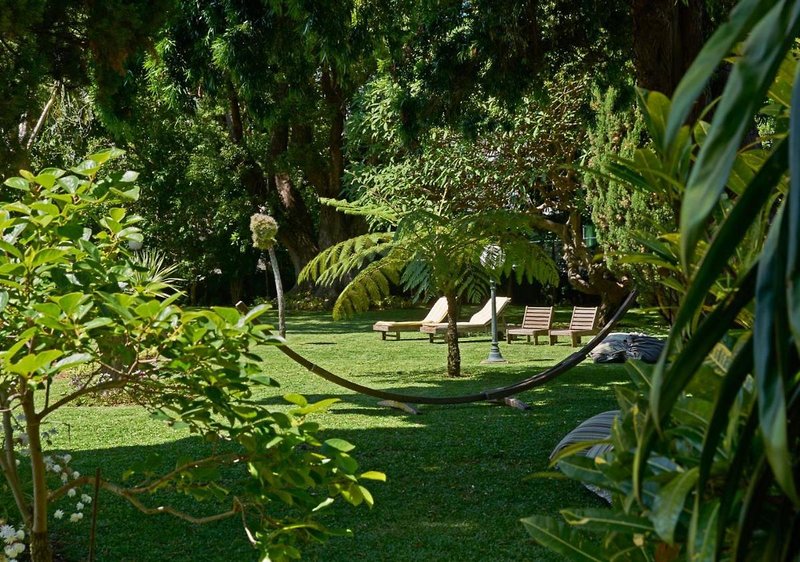 Quintinha Sao Joao 6
