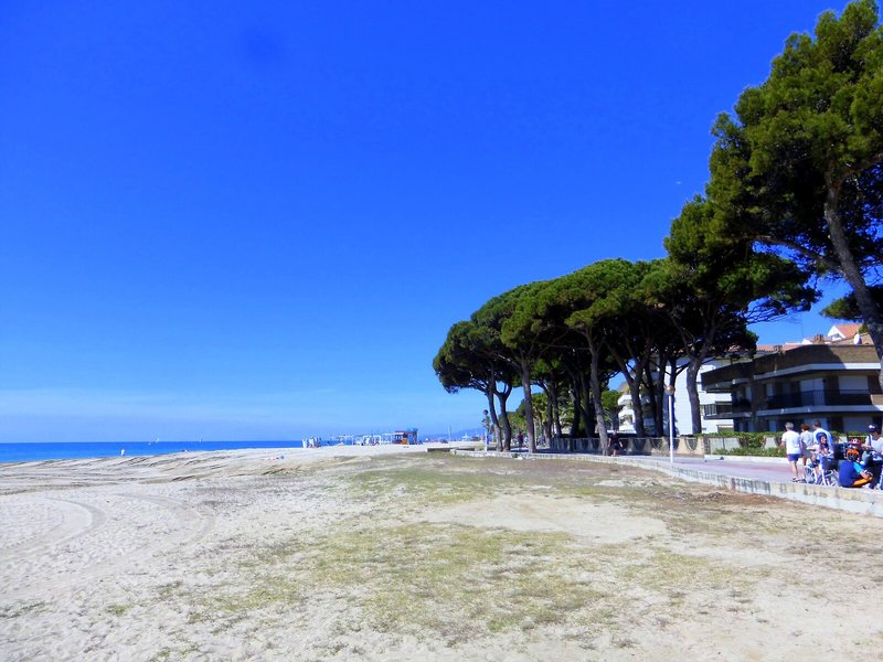 Rentalmar Pins Marina Cambrils 9