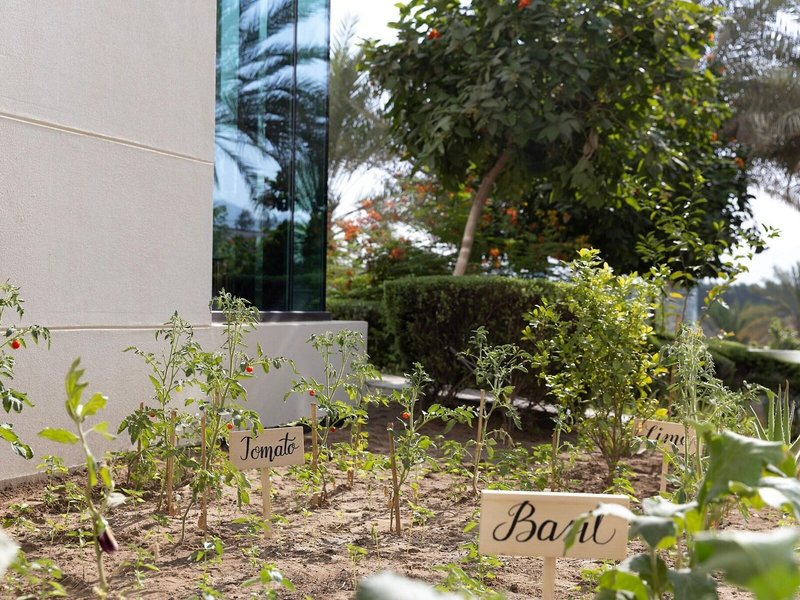 JW Marriott Muscat 7