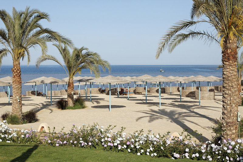 Three Corners Sunny Beach Resort 16