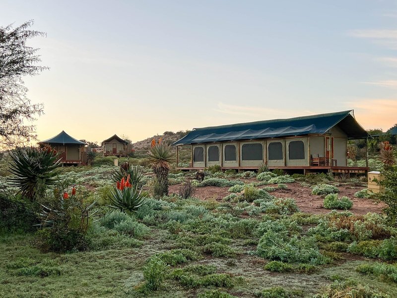 Buffelsdrift Game Lodge 3
