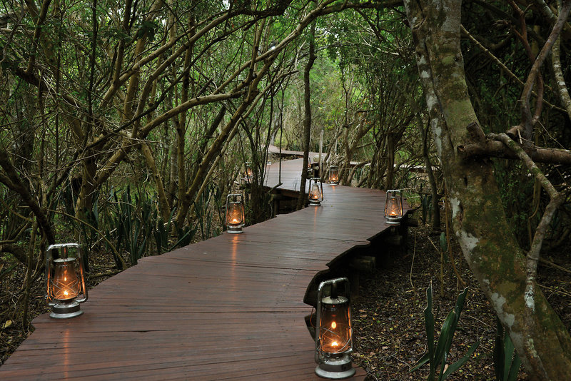 Sibuya Game Reserve & Lodge 21
