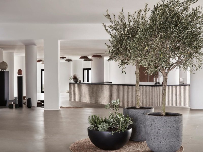 Orama Hotel & Spa 6