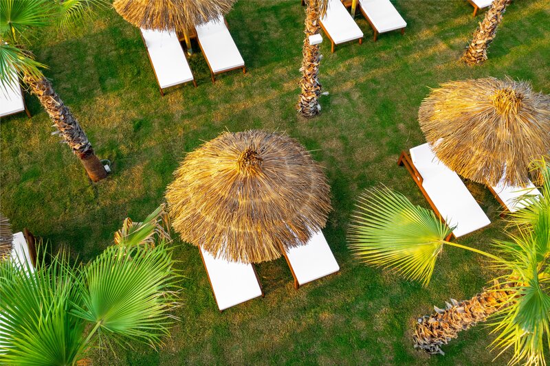 Rubi Platinum Sign 53