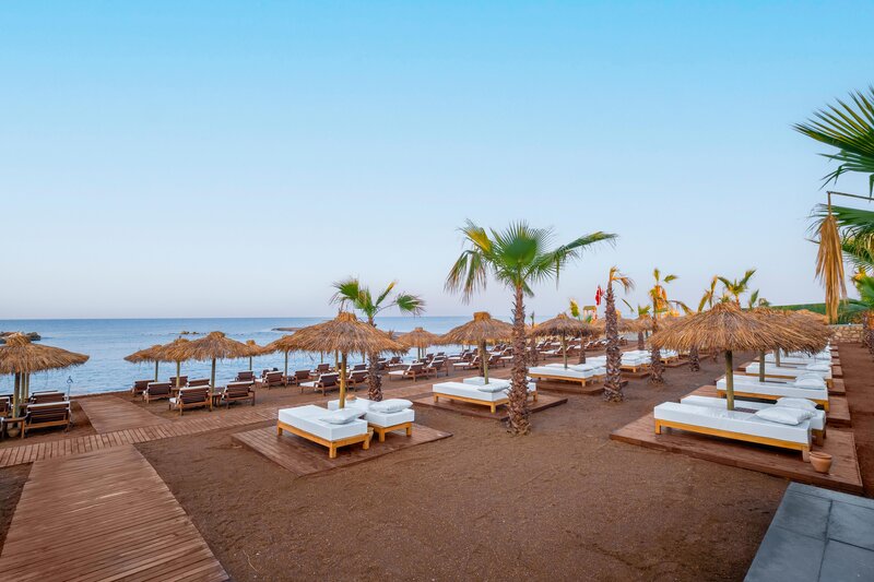 Rubi Platinum Sign 62