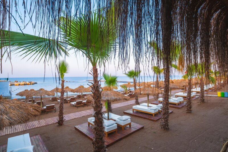 Rubi Platinum Sign 63