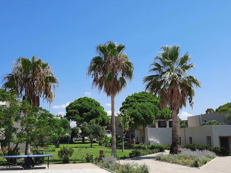 Kalogria Beach Hotel 18