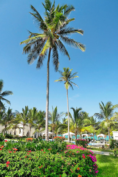 Baraza Resort & Spa 3