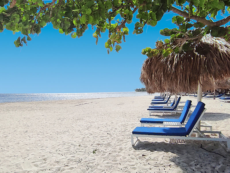 Serenade Punta Cana 5
