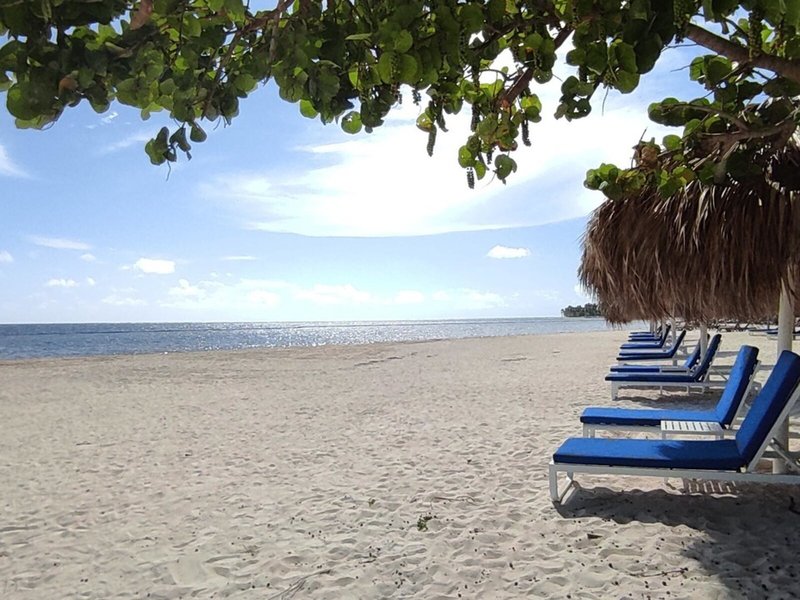 Serenade Punta Cana 8