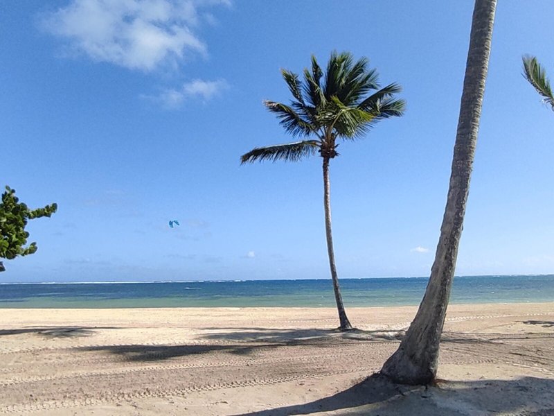 Serenade Punta Cana 9