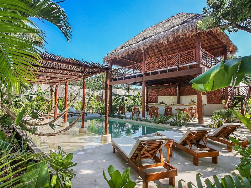 Zenses Wellness And Yoga Resort 5