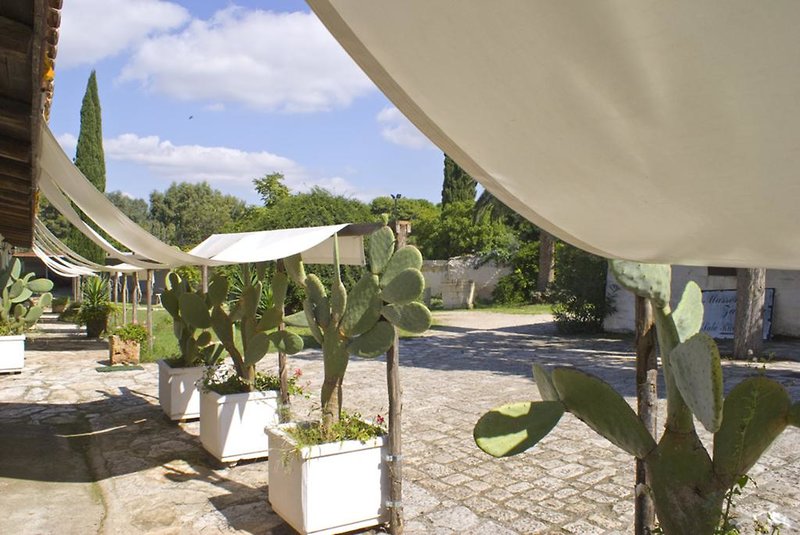 Masseria Zanzara 5