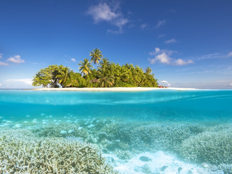 W Retreat & Spa Maldives 6