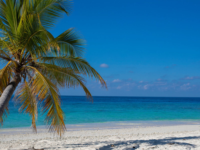 Filitheyo Island Resort 6