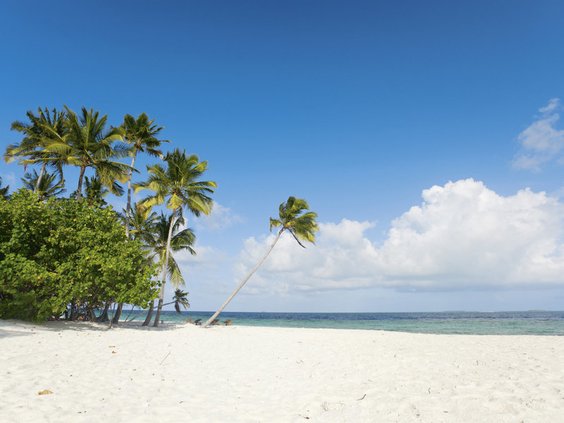 Filitheyo Island Resort 7