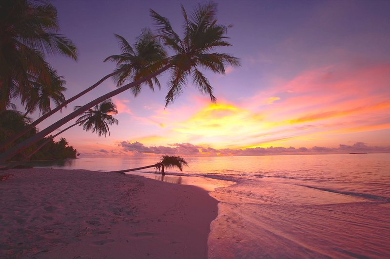 Filitheyo Island Resort 4 - Landscape