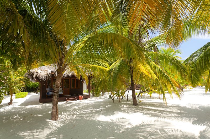 Filitheyo Island Resort 5 - Beach