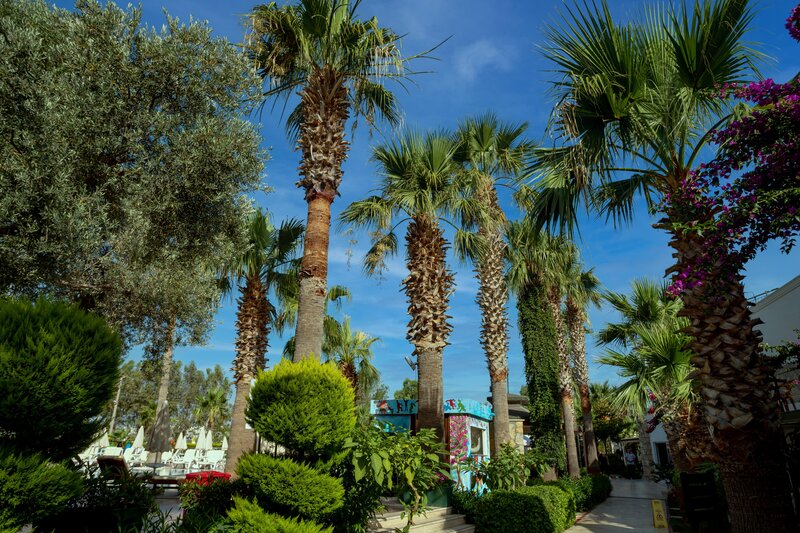 Anadolu Hotel Bodrum 44