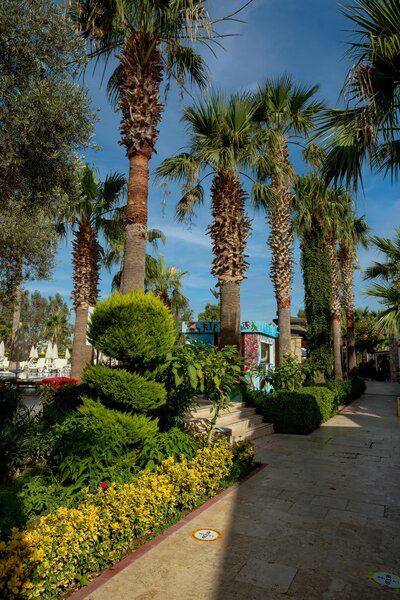 Anadolu Hotel Bodrum 192