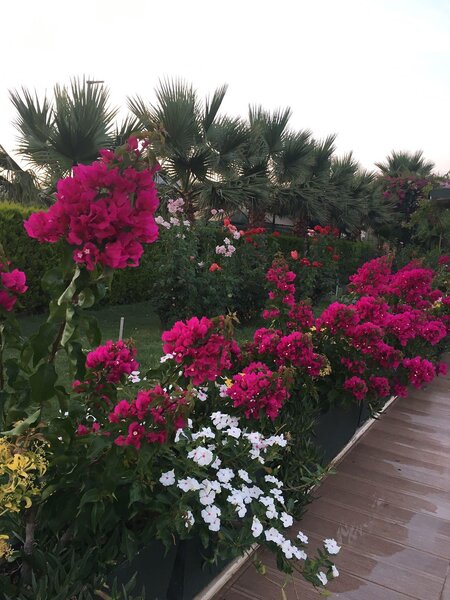 Anadolu Hotel Bodrum 209