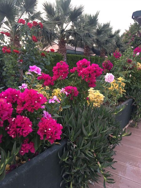 Anadolu Hotel Bodrum 210