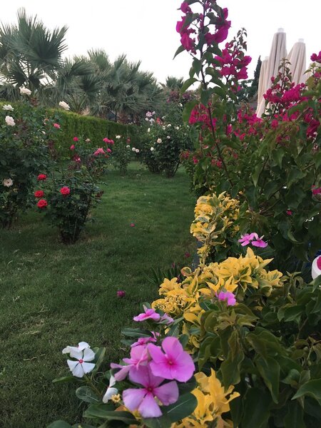 Anadolu Hotel Bodrum 211