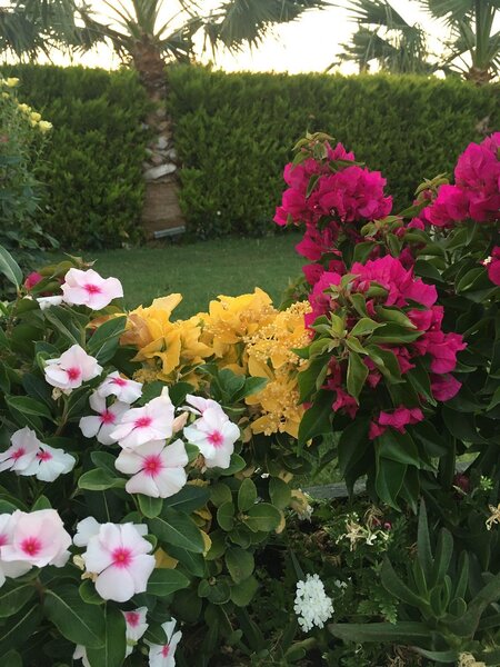Anadolu Hotel Bodrum 219