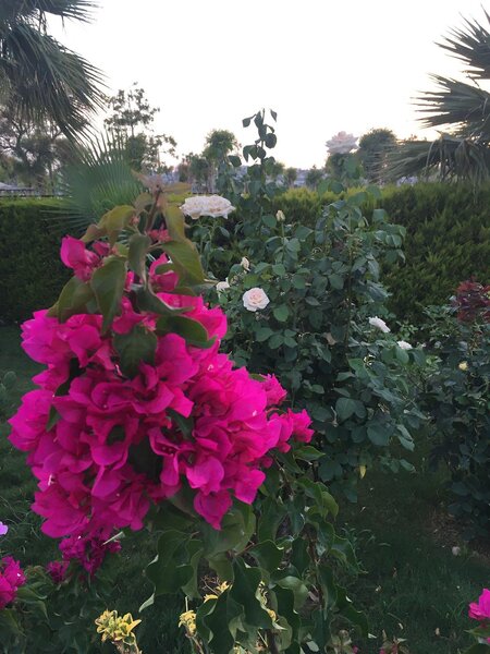 Anadolu Hotel Bodrum 220