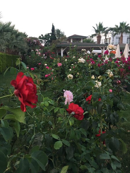 Anadolu Hotel Bodrum 37