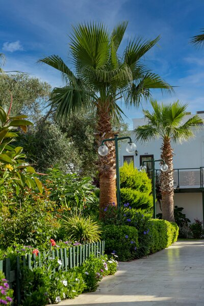 Anadolu Hotel Bodrum 205
