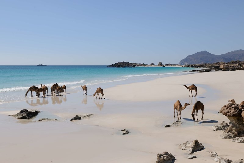 Alila Hinu Bay 8