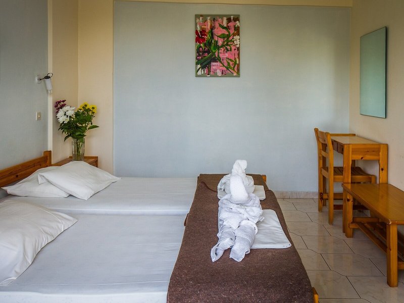 Hotel Alkmini 28
