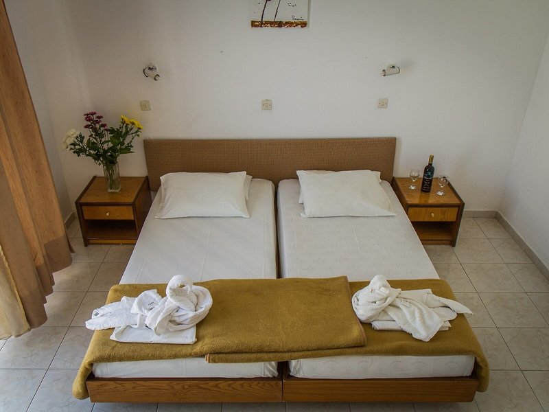 Hotel Alkmini 29