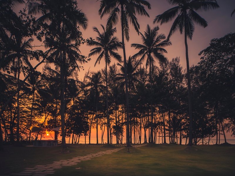 AVANI+ Khao Lak Resort 3