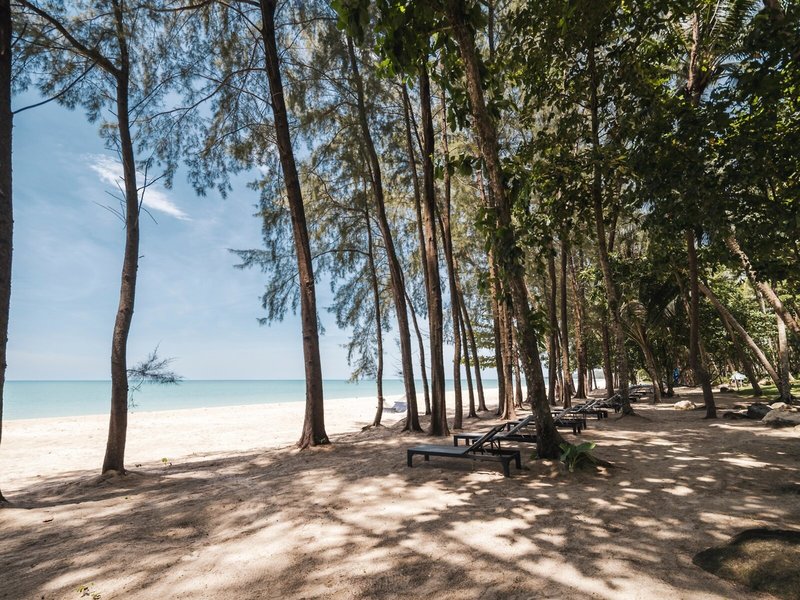 AVANI+ Khao Lak Resort 20