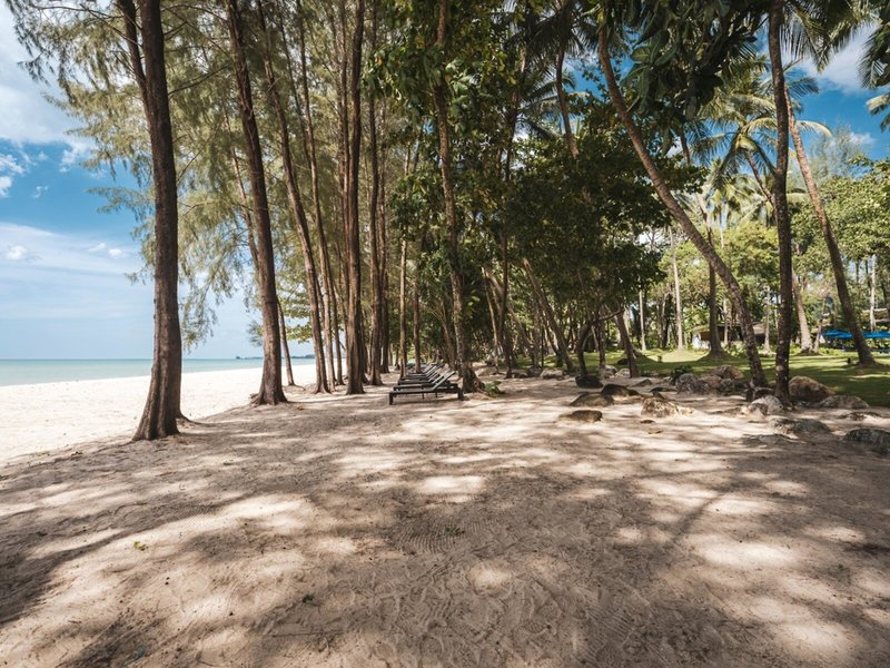 AVANI+ Khao Lak Resort 24